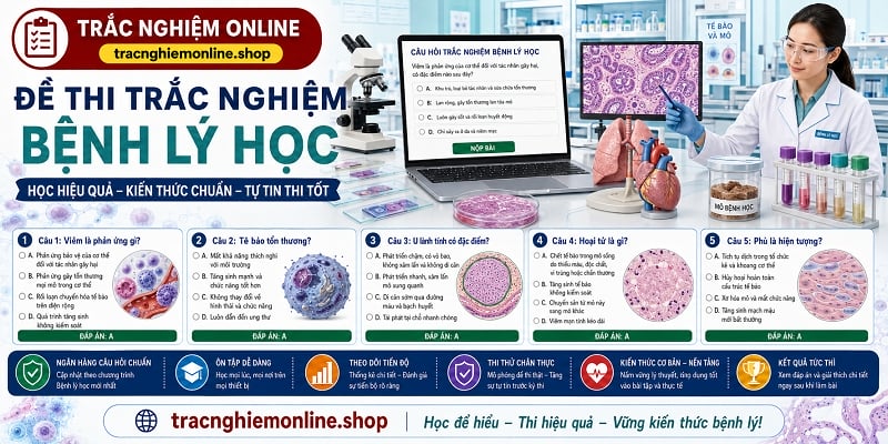 Đề thi trắc nghiệm bệnh lý học 2026 có đáp án chi tiết nhất