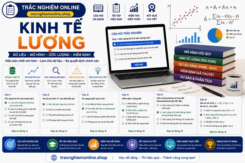 Đề thi trắc nghiệm kinh tế lượng 2026 có đáp án chính xác