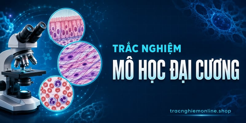 Đề thi trắc nghiệm mô học đại cương 2026 rõ ràng có đáp án